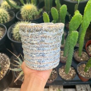 Ceramic planter pot | 4 inch